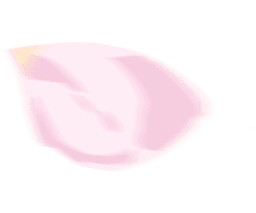 sakura flower petal